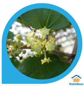 Sidor Honey (বড়ই ফুলের মধু)