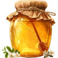 Raw Organic Honey