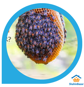 Natural Honey(গ্রাম্য চাকের মধু)