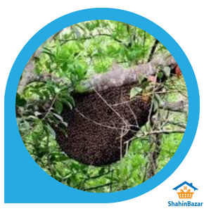 Sundarban Honey (সুন্দরবনের মধু)